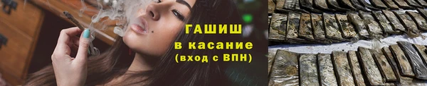 крисы Магас