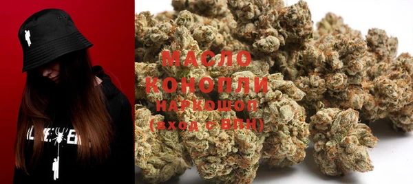 крисы Магас