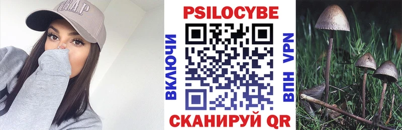 цены   Алдан  Галлюциногенные грибы Psilocybine cubensis 